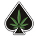 Reefer Poker